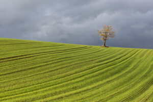 Tra Basilicata e Puglia (59)